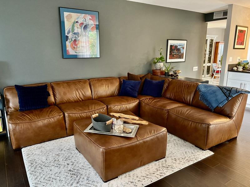 Soft deals leather sectional