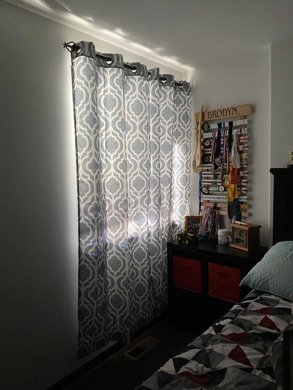 Lights off. Full sun. Mid-day. South window.