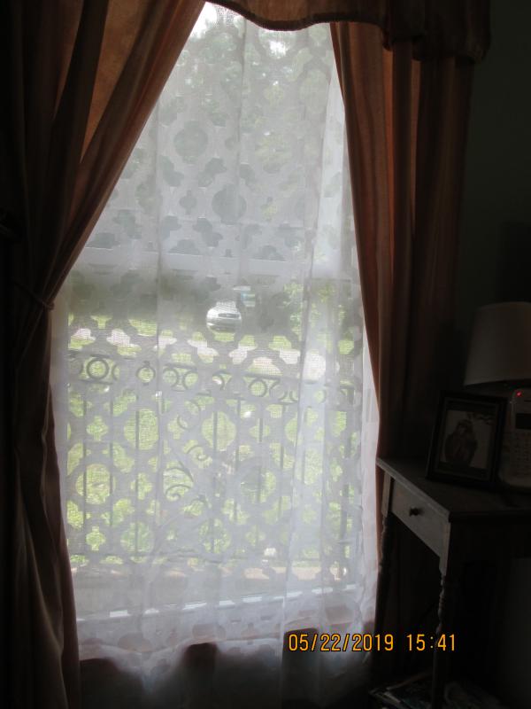Photo from dionaea