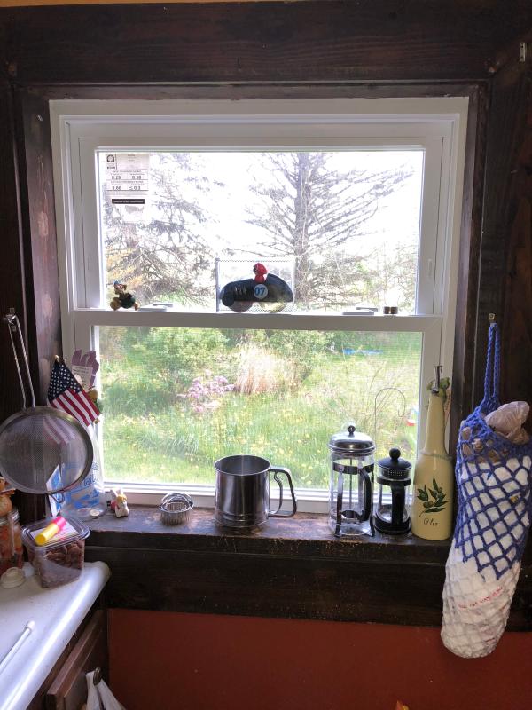 My before picture of my naked window