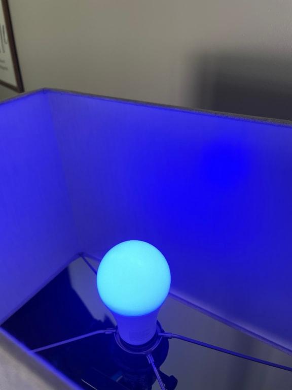 ARRAY by Hampton A19 800-Lumen Smart Wi-Fi Full-Color LED Bulb (Single ...