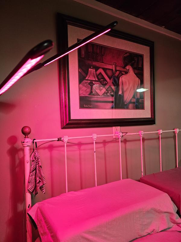 Review Thumbnail Image 0 383334908