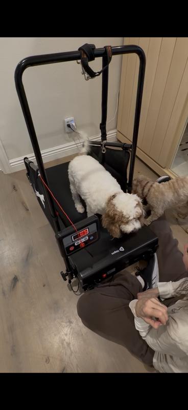Customer photo for "Really nice treadmill"