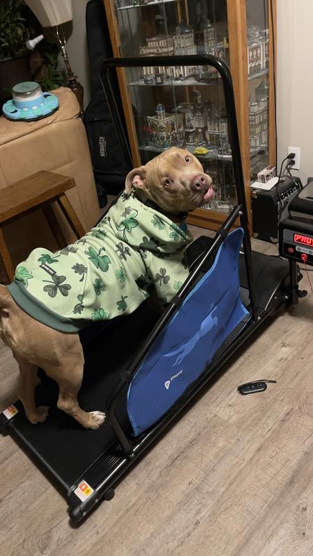 Review Thumbnail Image 0 382021070