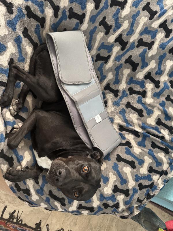 Customer carousel item 4.