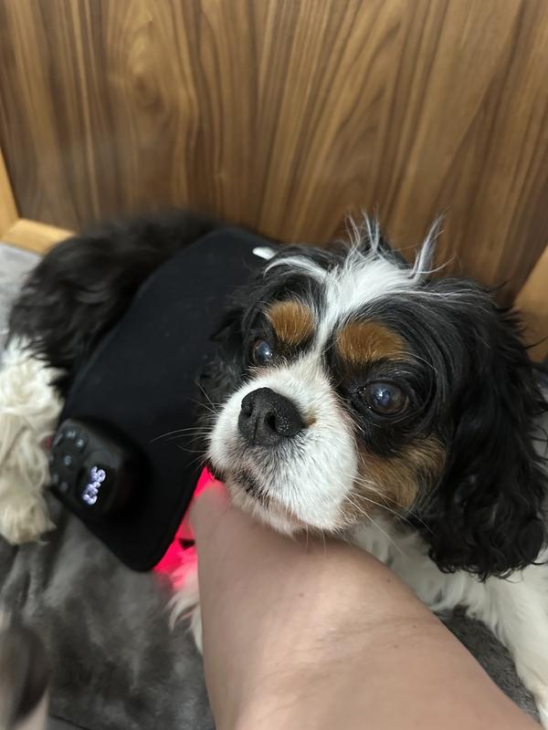 Customer carousel item 2.