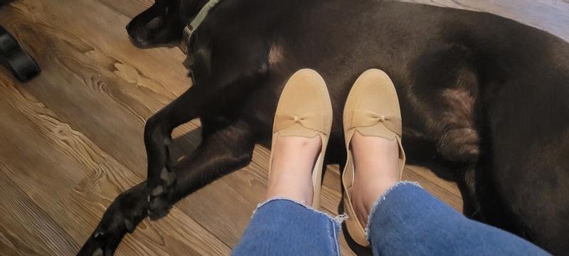 Review Thumbnail Image 0 379785604