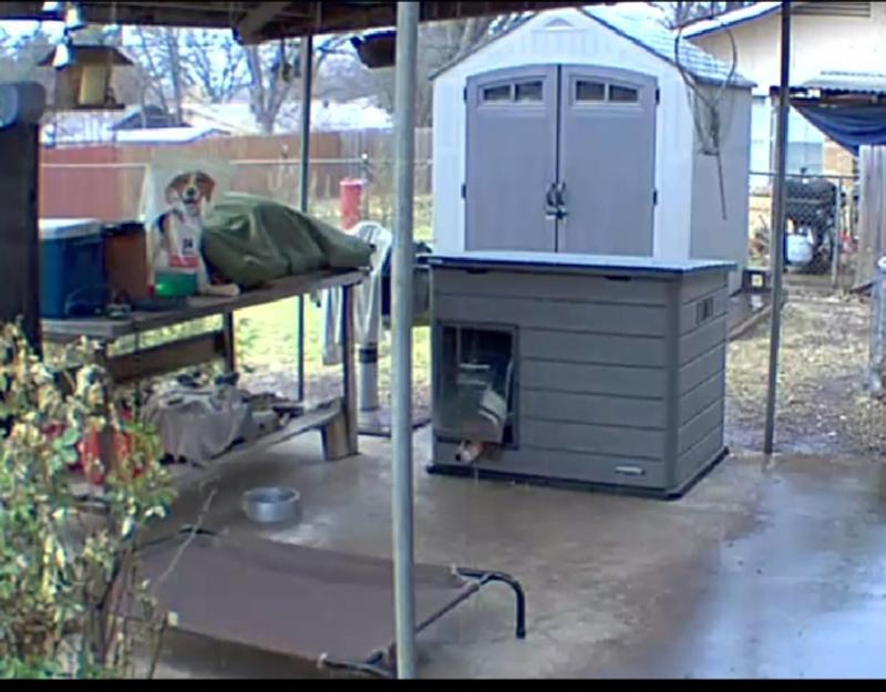 Deciding whether to leave his comfy room.