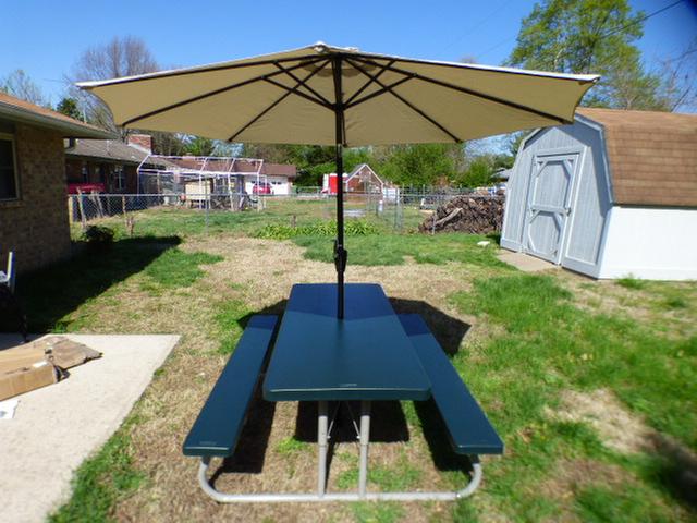 Cool and comfortable in my back yard