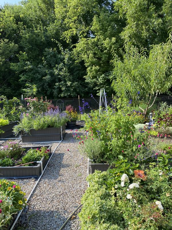The picture front right is two beds stacked