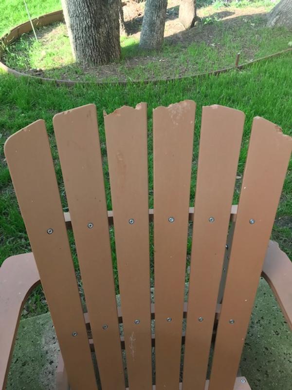 Photo submitted with review of product
