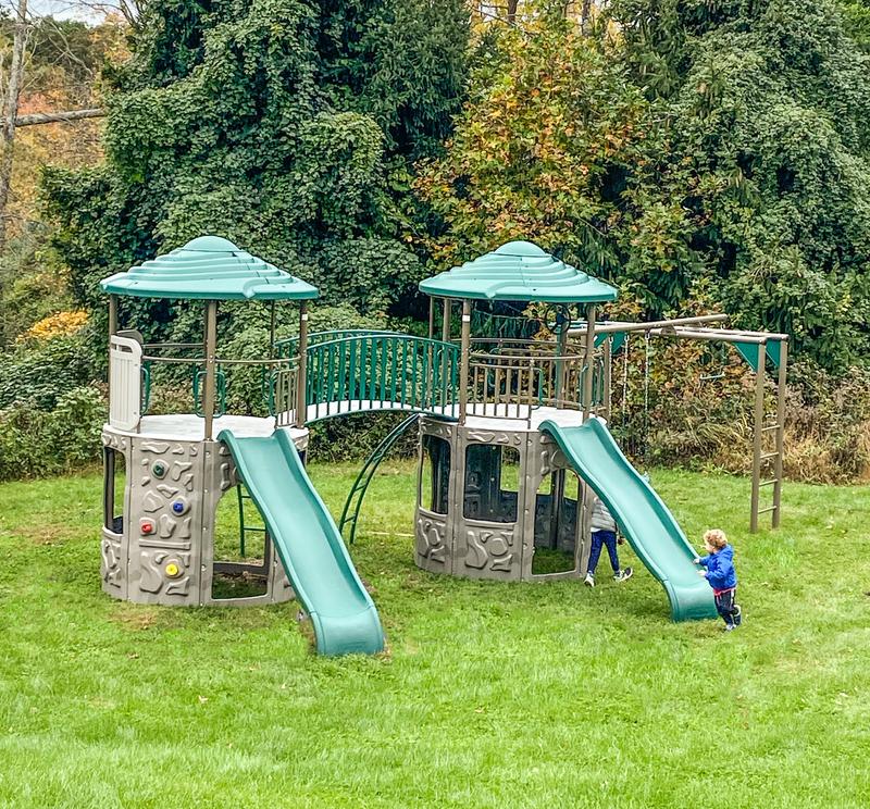 LIFETIME PRODUCTS Double Adventure Tower with Monkey Bars