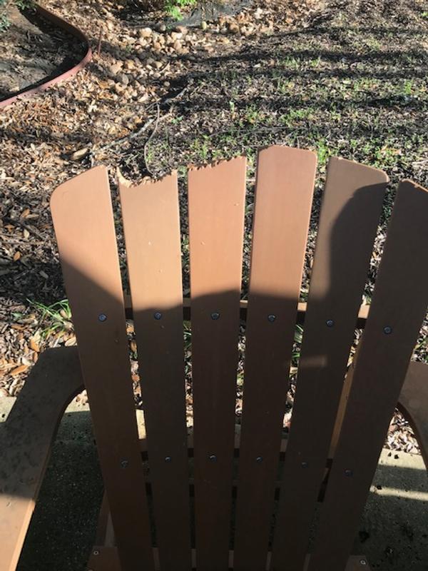 Photo submitted with review of product