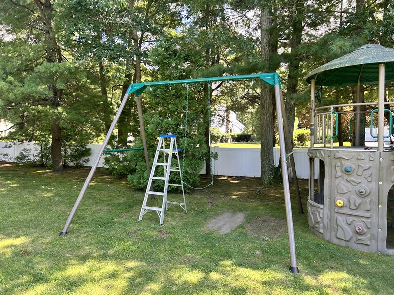 Lifetime Metal Swing Set (Earthtone)