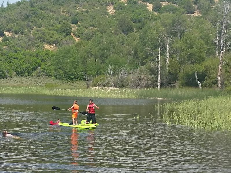 Photo submitted with review of product