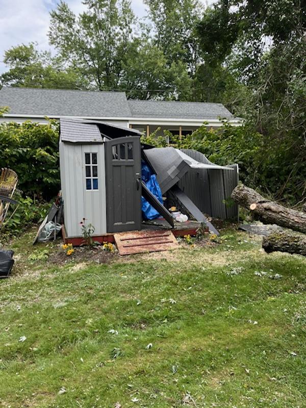 After the limb hit shed #1