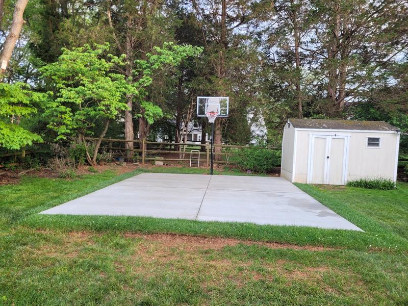back yard court
