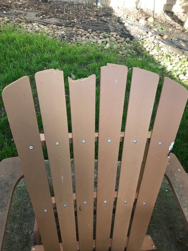 Photo submitted with review of product