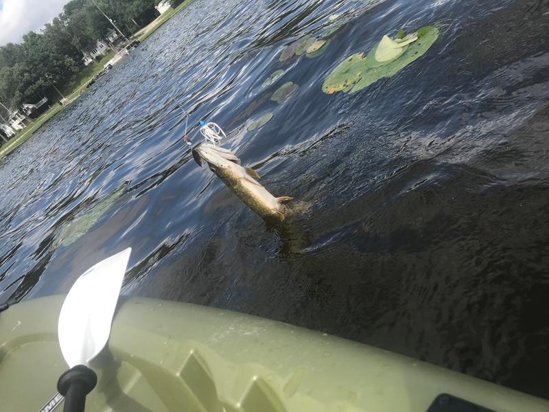 Nice way to spend an afternoon