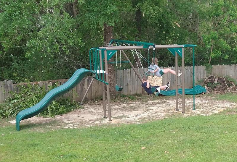 Lifetime Monkey Bar Adventure Swing Set (Earthtone)