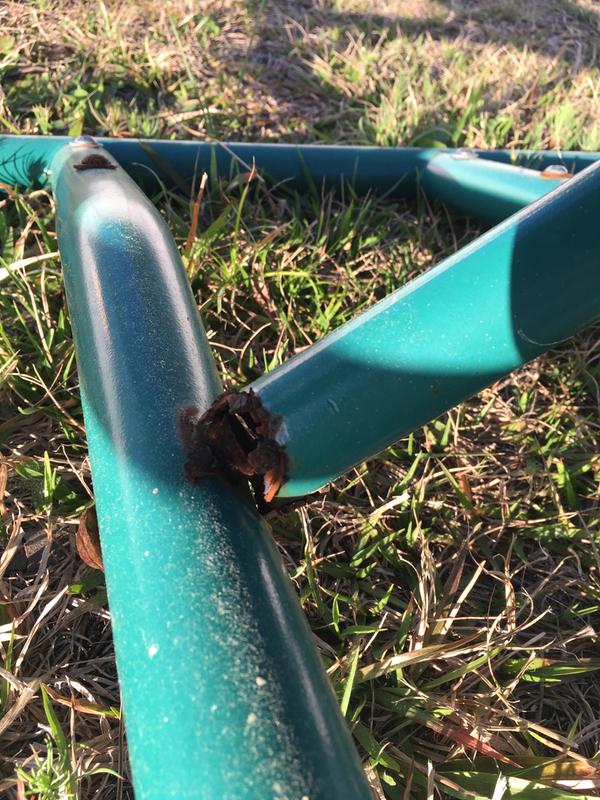 I hope you have had a tetanus shot