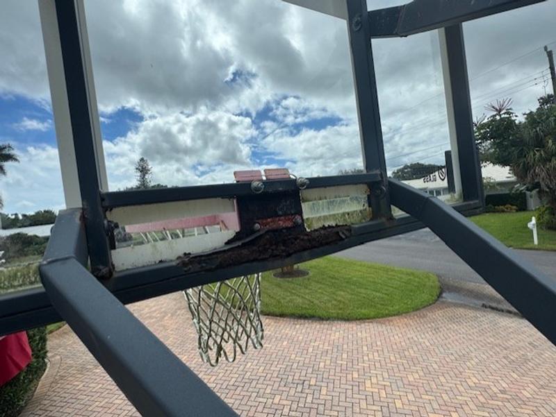 Lifetime Adjustable Bolt Down Basketball Hoop (60-Inch Tempered Glass)