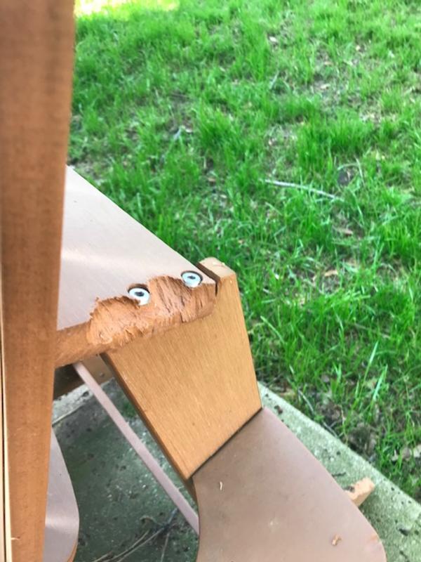 Photo submitted with review of product