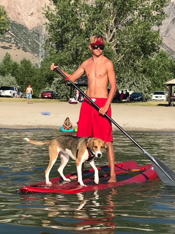 Photo submitted with review of product