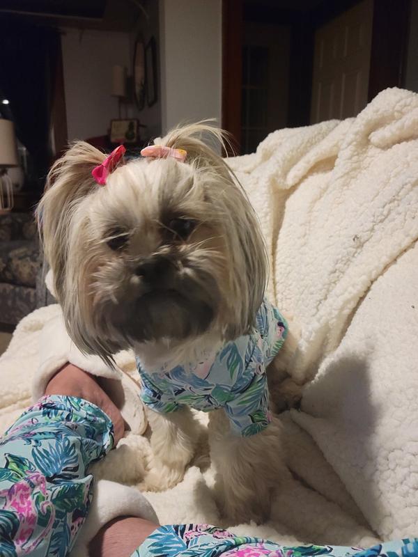 Lilly pulitzer 2025 dog clothes