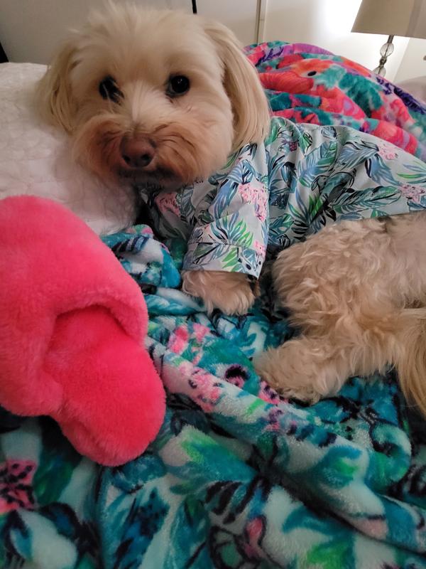 Lilly pulitzer dog store clothes