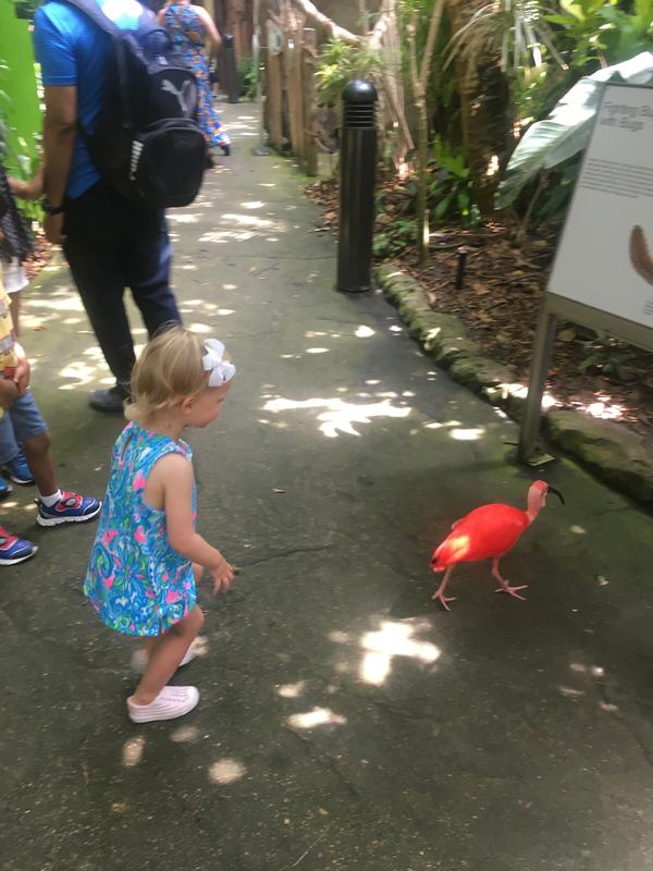 Review Thumbnail Image 0 242171062