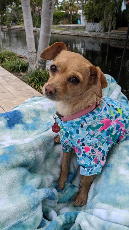 Lilly pulitzer dog store clothes