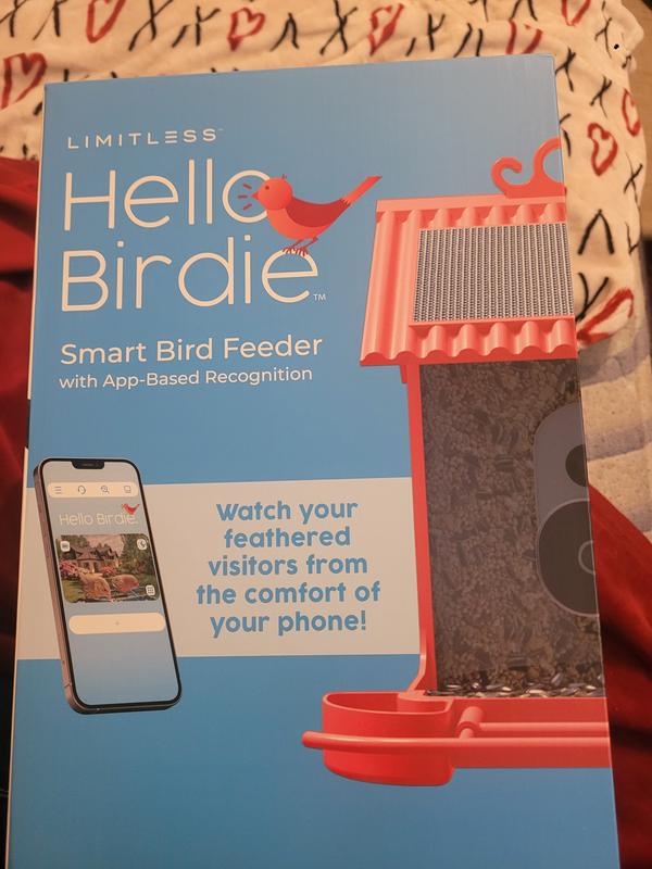 REVIEW: New smart bird feeder with a camera and sleek app