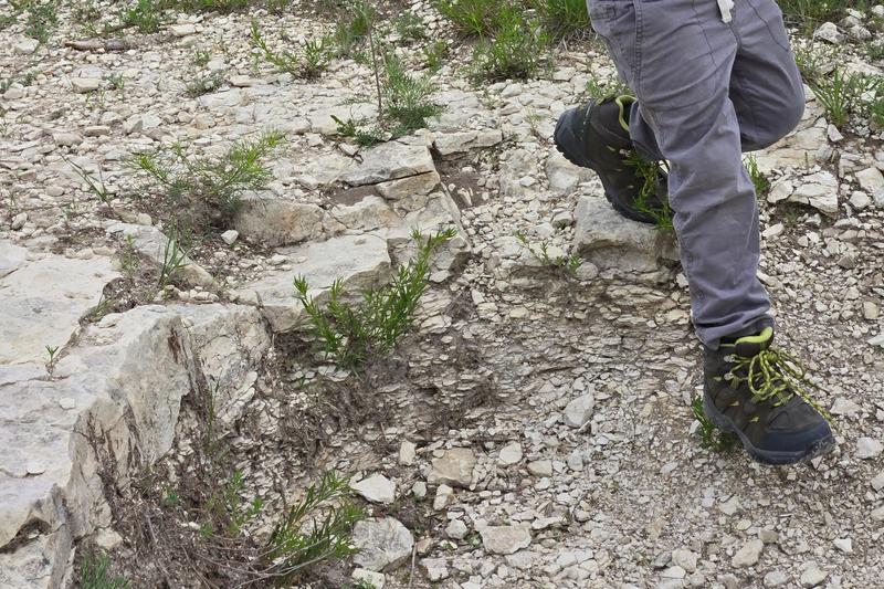 Great boots on the trail!
