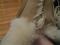 User submitted photo