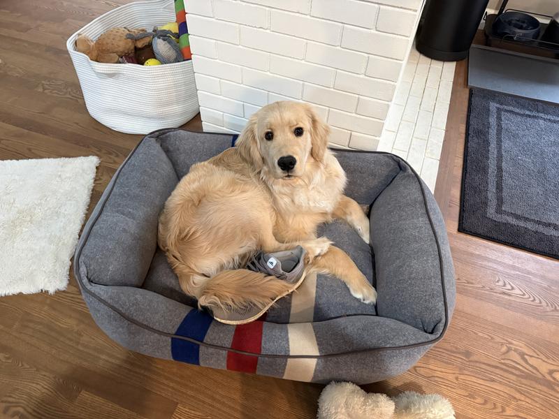 Review Thumbnail Image 0 246193398