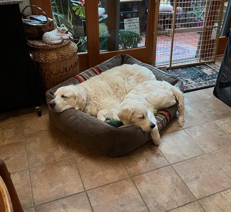 Review Thumbnail Image 0 246574858