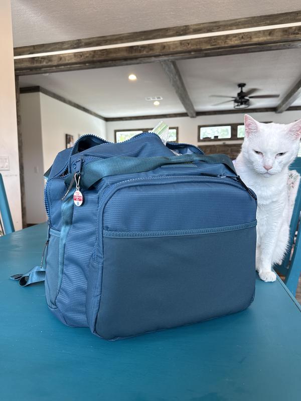 Kitty not included