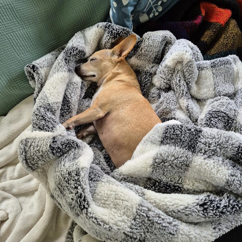 Cozy Plush Throw Plaid