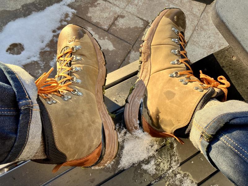 Men's Danner Mountain 600 Waterproof Hiking Boots