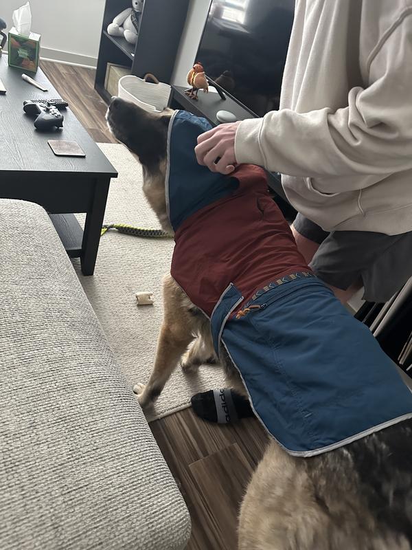 Dog Jackets and Vests | Home Goods at L.L.Bean