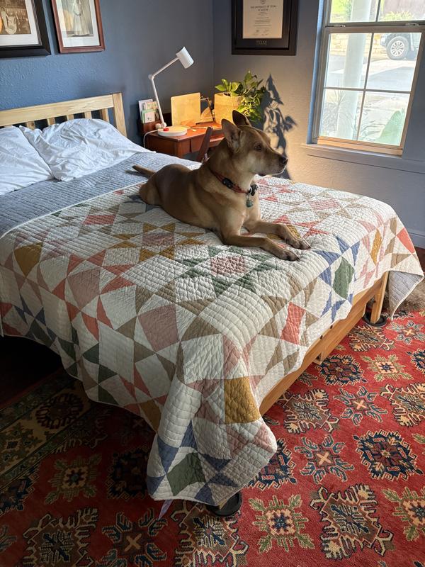 North Star Patchwork Quilt Collection