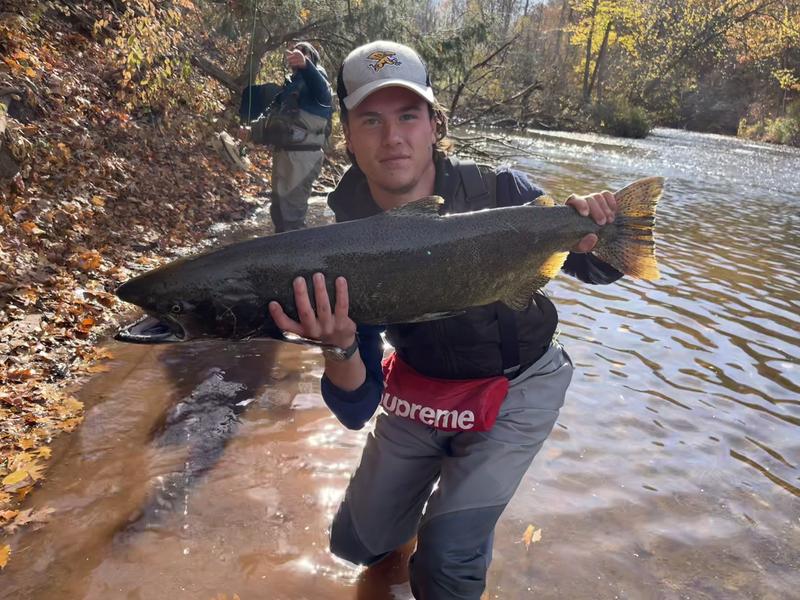 female king salmon landed on the switch rod
