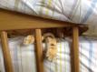 User submitted photo