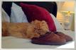 User submitted photo