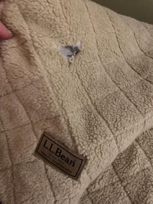 ll bean rugged quilted dog blanket