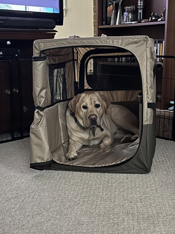 Mountain Classic Travel Dog Crate Kennels at L.L.Bean