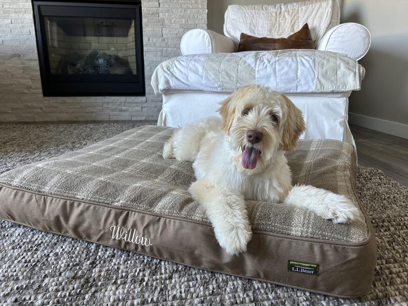 Llbean dog bed cover best sale