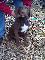 User submitted photo