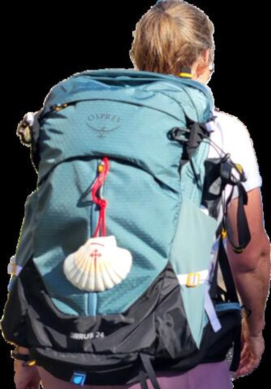 Women's Osprey Sirrus 24 Liters Pack | Backpacks at L.L.Bean